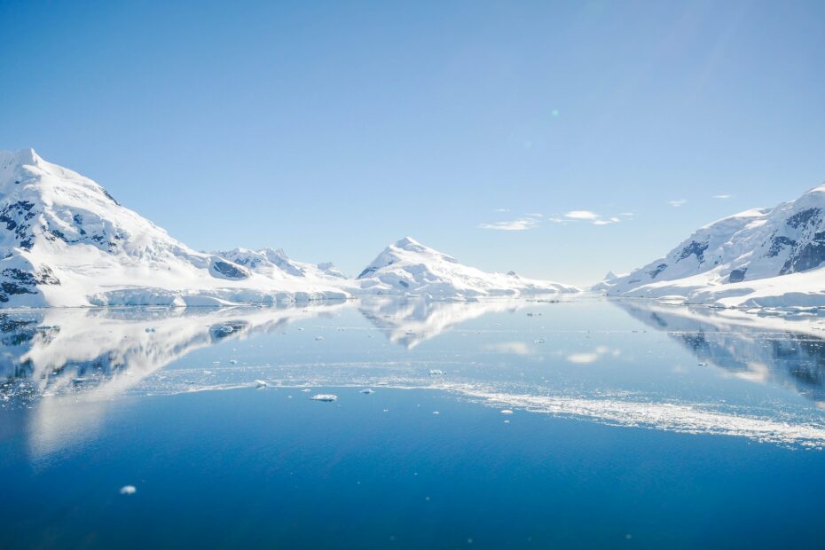 Scientific Research & Conservation Initiatives In Antarctica: How Travelers Can Get Involved